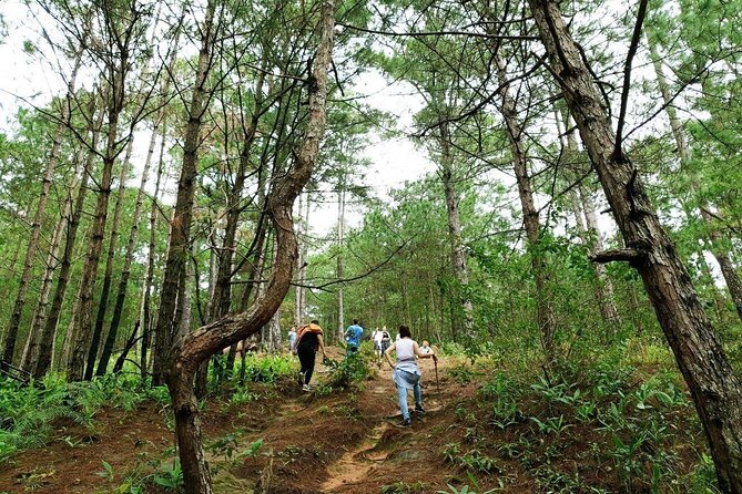 Full day Trekking On Langbiang Mountain - Three peaks, changing forests, and wide highland views