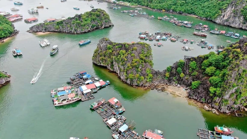 Fullday Trekking in Cat Ba National Park to Viet Hai Village - Late morning, reaching Viet Hai Village