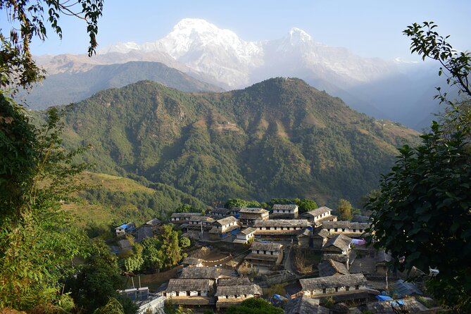 Ghorepani Ghandruk Wellness Yoga Trek - Why the $1,979 price may make sense