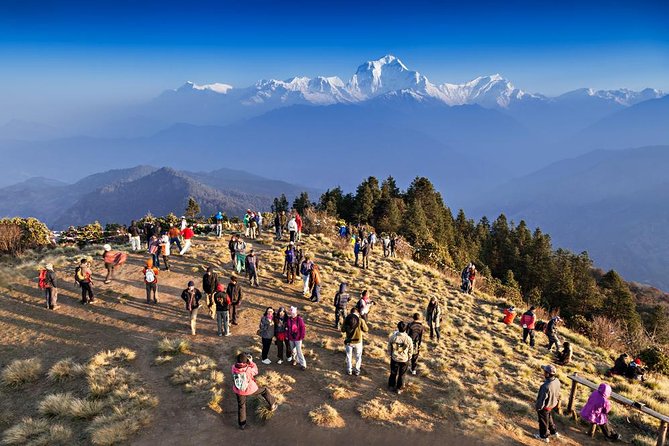 Ghorepani Poon Hill Sunrise Trek - Key points before you book