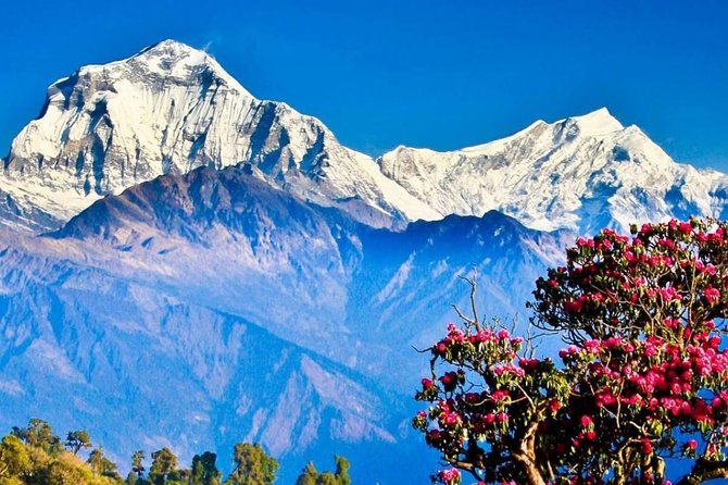 Ghorepani Poon Hill Sunrise Trek - Why Poon Hill is such a good first Himalayan trek