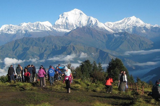 Ghorepani - Poon Hill Trek 3N-4D - Day 2: The climb to Ghorepani village