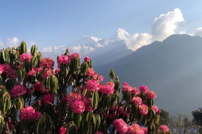 Ghorepani Poon Hill Trek