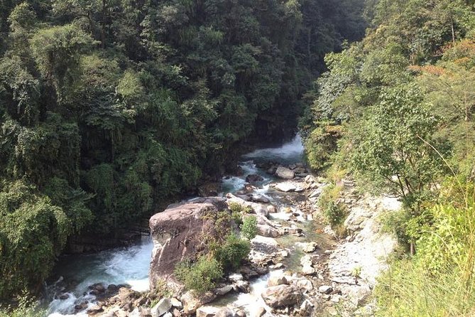 Ghorepani Poon Hill Trek - Day 4: Forest descent and Gurung culture in Ghandruk