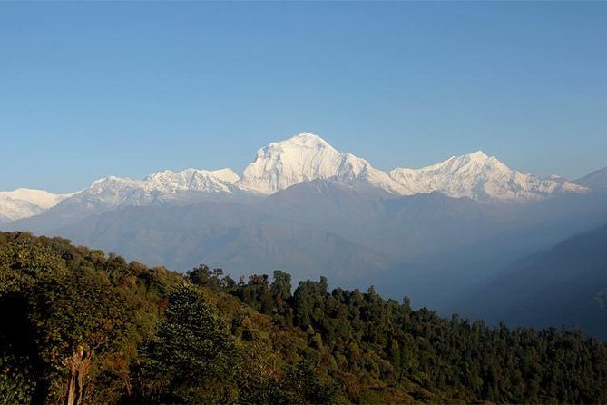 Ghorepani Poon Hill Trek - What the $399.67 price actually covers