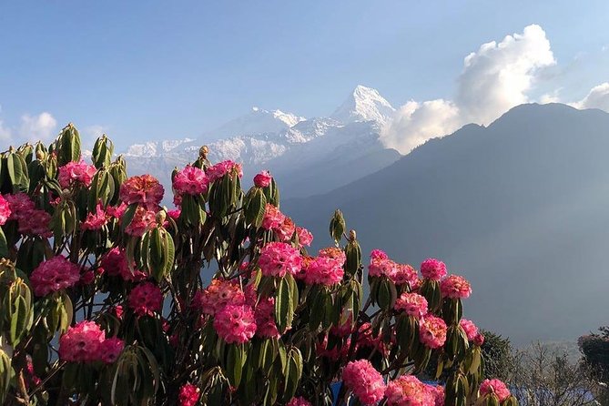 Ghorepani Poon Hill Trek - Day 1: A practical arrival in Kathmandu