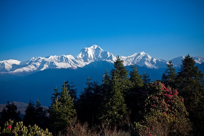 Ghorepani - Poon Hill yoga Trek - 10 Days - Day 7: Down to Nayapul and Back to Pokhara