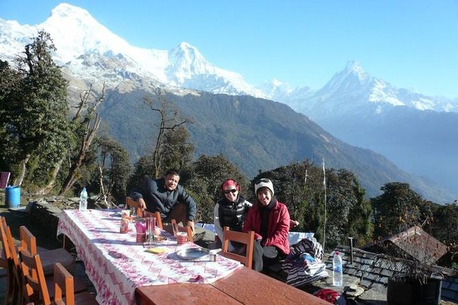 Ghorepani-Poonhill Trek 5 days - Best Short Trek in Annapurna Massif - Day 7: Tadapani to Ghandruk through dark forest