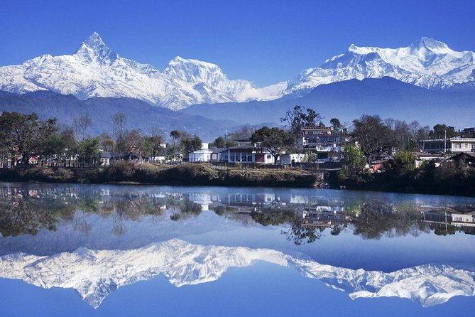 Ghorepani Poonhill Trek -8 Days - Day 6: Forest descent and time in Ghandruk