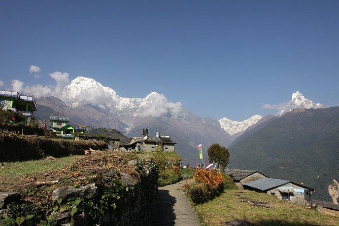 Ghorepani Poonhill Trek from Kathmandu | Best Short Trek in Nepal - Day 7: Forest paths and Gurung life in Ghandruk