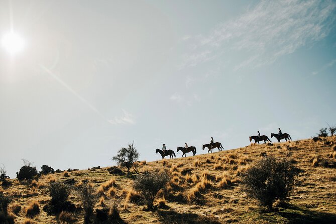 Gold Discovery Trail Horse Trek Cardrona - Most popular! - Key points at a glance
