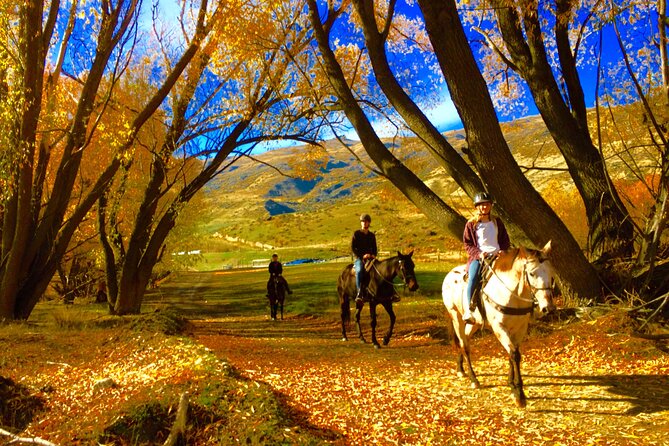 Gold Discovery Trail Horse Trek Cardrona - Most popular! - Why this Cardrona ride is different