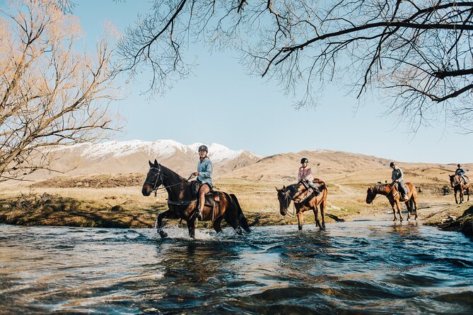 Gold Discovery Trail Horse Trek Cardrona - Most popular! - Meeting the horses and finding your match