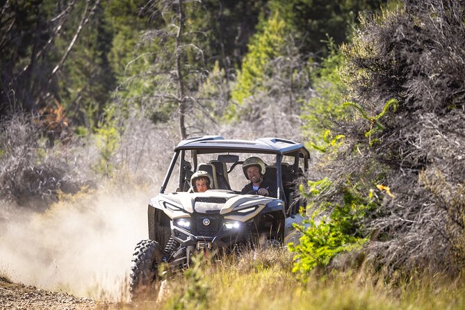 Gold Discovery Trail Horse Trek Cardrona - Most popular! - Is $309.67 good value?