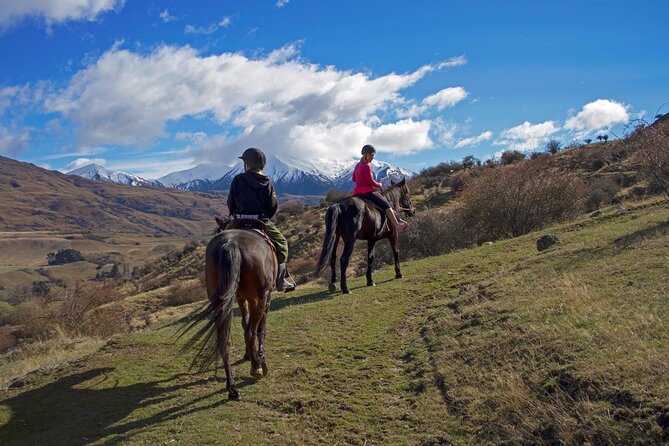 Gold Discovery Trail Horse Trek Cardrona - Most popular! - Arriving at 2125 Cardrona Valley Road