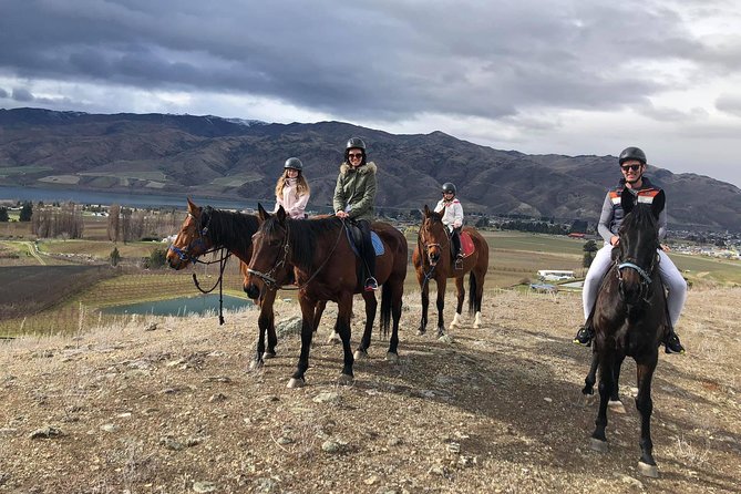 Golden Hills Horse Trek in Central Otago - Golden Hills Horse Trek at a glance