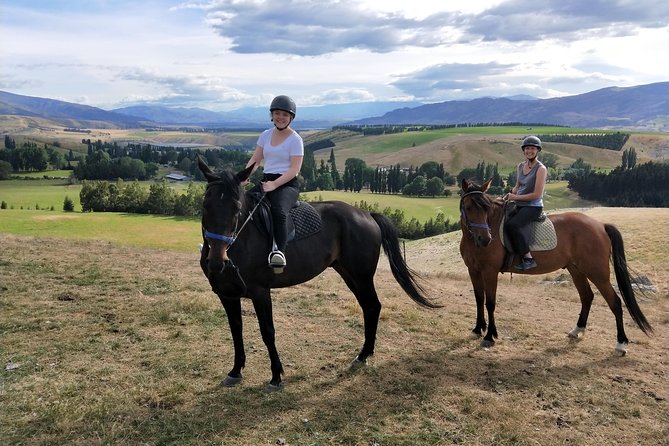 Golden Hills Horse Trek in Central Otago - The horses are part of the experience
