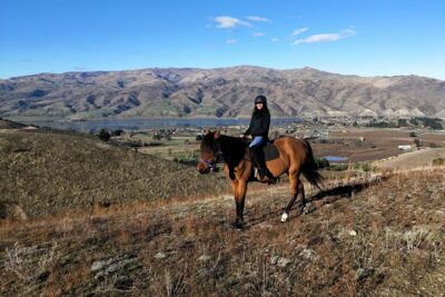 Golden Hills Horse Trek in Central Otago