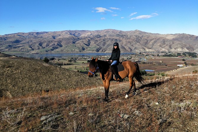 Golden Hills Horse Trek in Central Otago - What the two-hour Top Hill Trek feels like