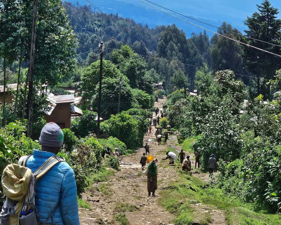 Golden Monkey Trekking with lunch - What this golden monkey day trip is really like