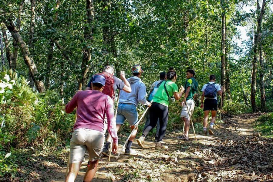 Golden Monkey Trekking with lunch - The early drive from Kigali to Volcanoes National Park
