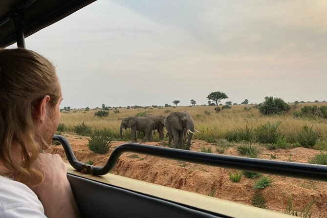 Gorilla & Chimpanzee Trekking in Uganda - 5 Days - What the $3,630 price really buys