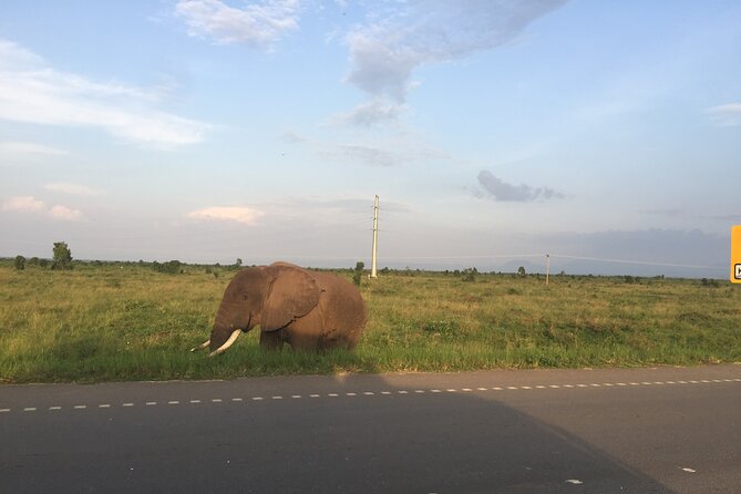 Gorilla & Chimpanzee Trekking in Uganda - 5 Days - Day 1: Kampala, the equator, and Queen Elizabeth National Park