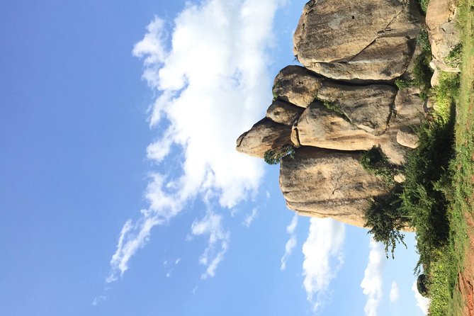 Gorilla trekking - Day three: the long return and the Equator stop