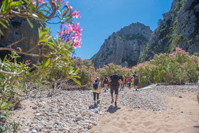 Guided hike to Cala Luna, the pearl of the Gulf of Orosei - Cala Luna: lunch and a swim at the finish