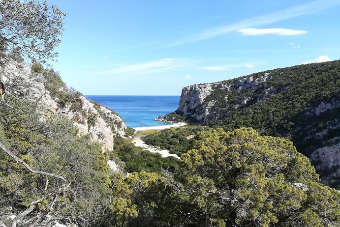 Guided hike to Cala Luna, the pearl of the Gulf of Orosei - What the $72.56 price covers
