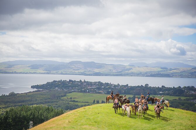 Guided Horse Trekking from Rotorua - Why this Rotorua horse trek is worth considering