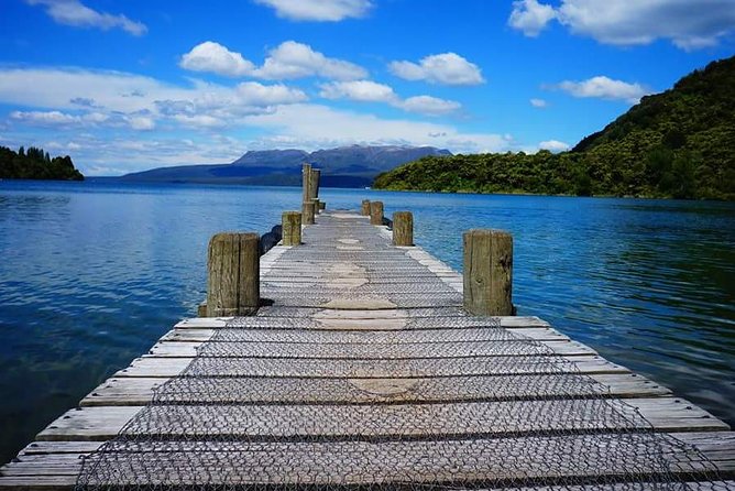 Guided Horse Trekking from Rotorua - Reaching the Lake Rotorua lookout
