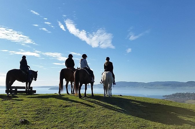 Guided Horse Trekking from Rotorua - How the one-hour timing affects the experience