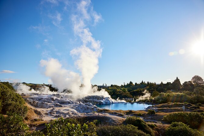 Guided Horse Trekking from Rotorua - Price, value, and what is included