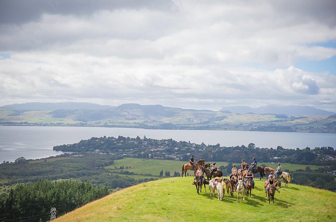 Guided Horse Trekking from Rotorua - Getting started at 451 Ngongotaha Road
