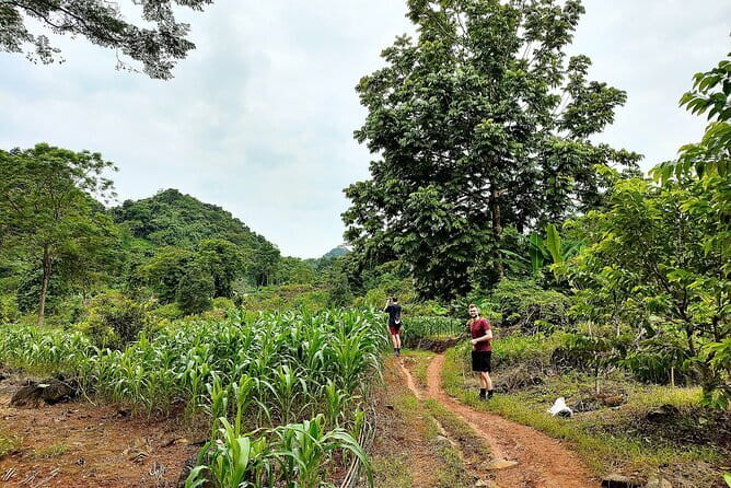 Ha Giang Loop Trekking Full Day Tour - Key points to know before you book