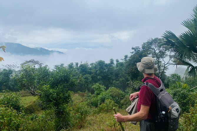 Ha Giang Loop Trekking Full Day Tour - Guides, safety, and group size