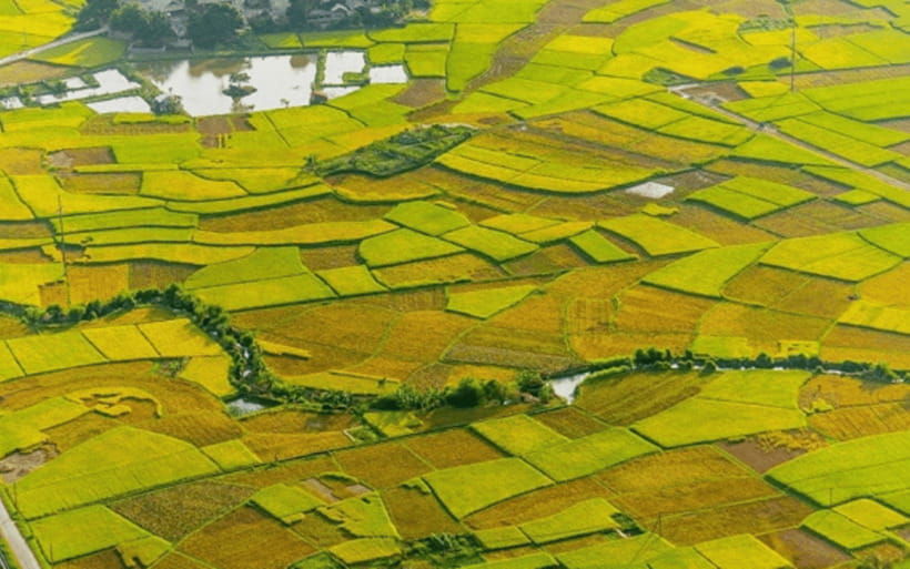 Ha Noi - Mai Chau - Pu Luong 2 Days 1 Night Trekking Tour - A Thai stilt house and a local lunch