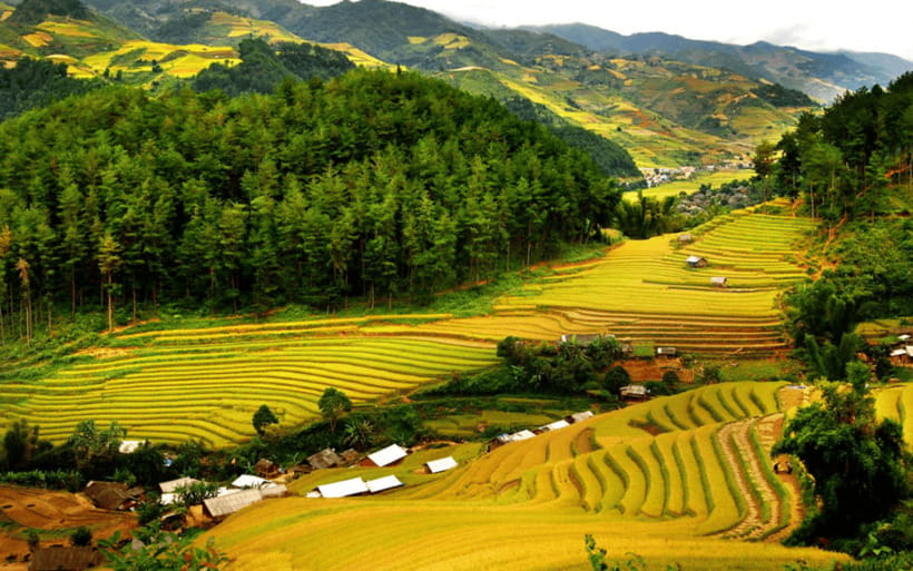 Ha Noi - Mai Chau - Pu Luong 2 Days 1 Night Trekking Tour - Cycling through Mai Chau’s rice paddies