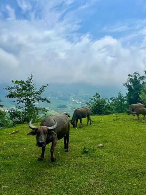 Ha Noi-Sapa Authentic Trek & Homestay wih hmong women (2D1N) - Is $78 good value?