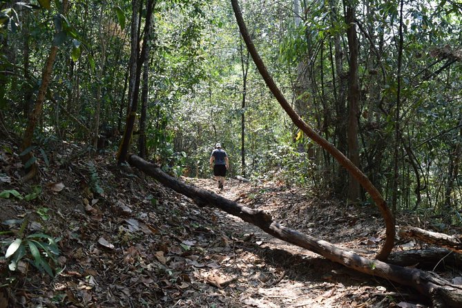 Half Day Doi Suthep Temple and short trekking on monk trail (Private Tour) - Why this half-day tour works