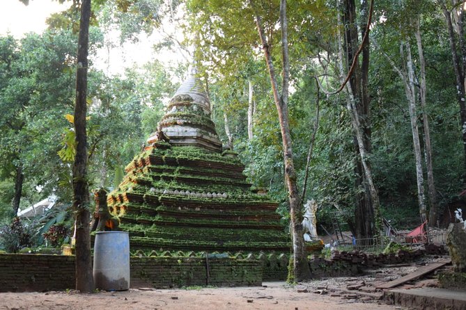 Half Day Doi Suthep Temple and short trekking on monk trail (Private Tour) - Walking the Monk Trail downhill