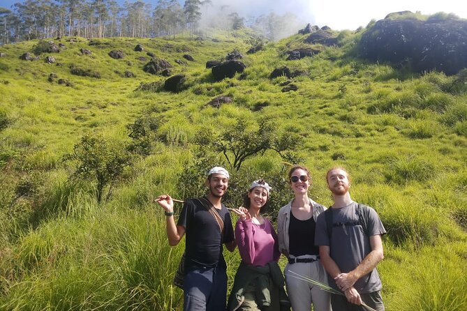 Half Day Hiking in Munnar Trekking Tour - Walking beyond Munnar’s tea postcard