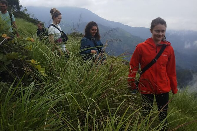 Half Day Hiking in Munnar Trekking Tour - The jungle walk and local wildlife