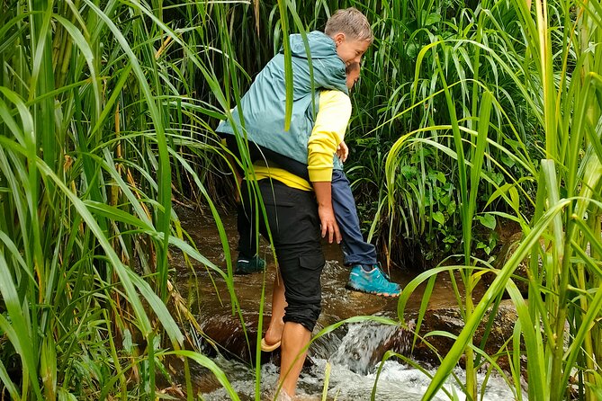 Half Day Private Trekking Mu Cang Chai_Morning or Afternoon - Pickup, timing, and private-tour value
