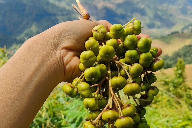 Half Day Private Trekking Mu Cang Chai_Morning or Afternoon - Who should book this trek?