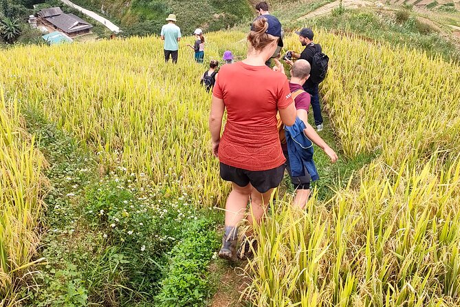 Half Day Private Trekking Mu Cang Chai_Morning or Afternoon - Is the $36 price good value?