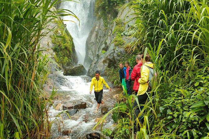 Half Day Private Trekking Mu Cang Chai_Morning or Afternoon - Should you book this Mu Cang Chai experience?