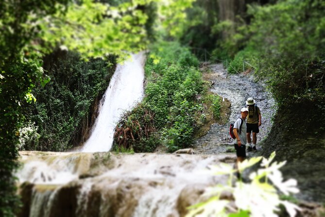 Half-Day River Trekking Stenosia from Kalamata - Key points to know before you book