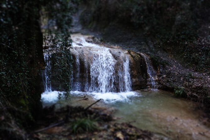 Half-Day River Trekking Stenosia from Kalamata - Forest walking beside cold, clear water